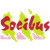 Socibus logo